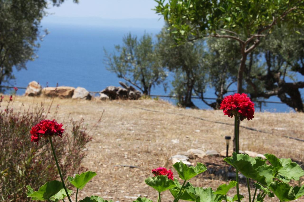 Sea And Mountain View Βίλα Καλαμάτα Εξωτερικό φωτογραφία